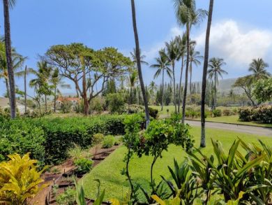 Kailua Kona  Big Island Condo 896054